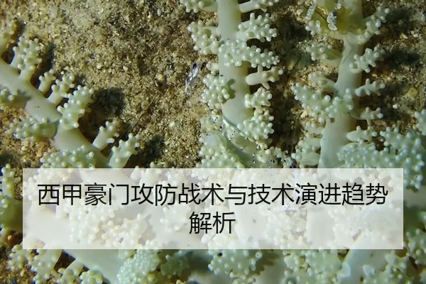 西甲豪门攻防战术与技术演进趋势解析